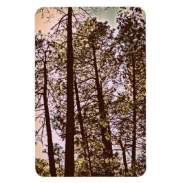 Ímã cor pelas árvores