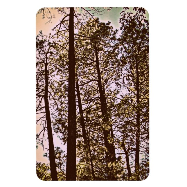 Ímã cor pelas árvores (Vertical)