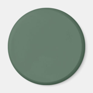 Imã Cor Sólida Verde Eucalyptus Dusty