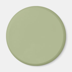 Imã Cor Verde Sálvia Empoeirada Cor Sólida