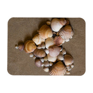 Ímã Coração do namorados feito com conchas