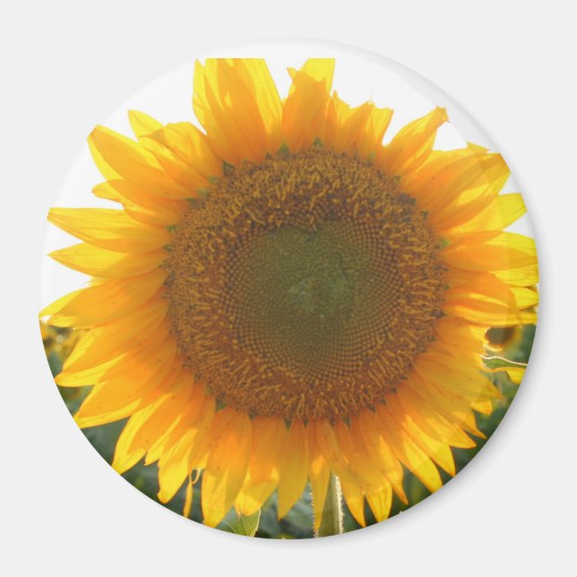 Imã Coração ensolarado (Frente)