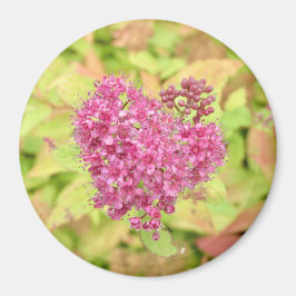 Imã Coração Flor Natural - perfurado pela seta.