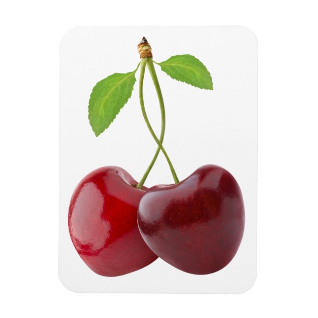 Ímã Corações de cereja (Vertical)