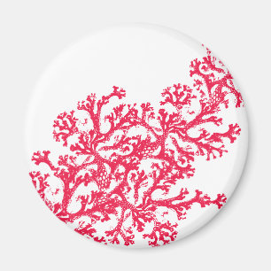 Imã Coral Motif Magnet