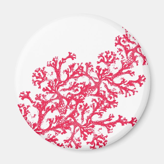 Imã Coral Motif Magnet (Frente)
