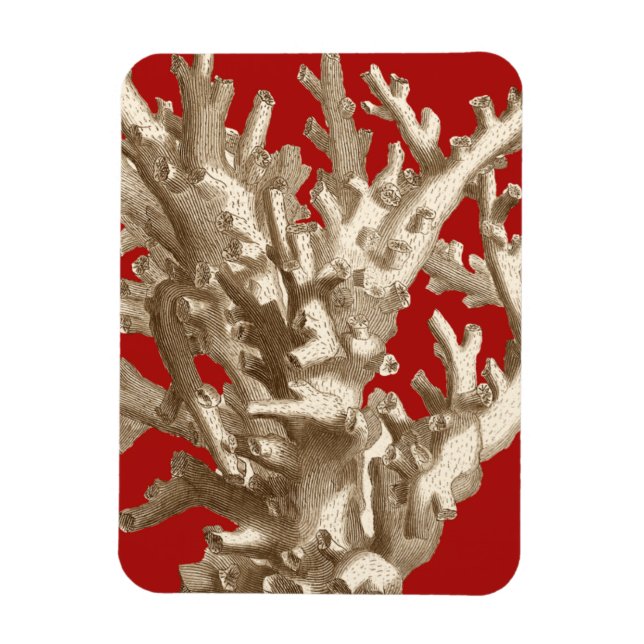 Ímã Coral pequeno em vermelho (Vertical)