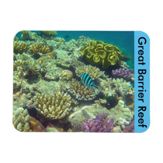 Ímã coral-recife de barreira
