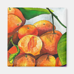 Imã Corante laranja-tangerina fruta