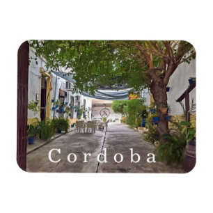 Ímã Córdoba. 30.  