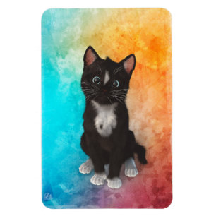 Ímã Cores bonitos do gato