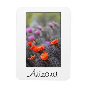 Ímã Cores da Arizona do deserto