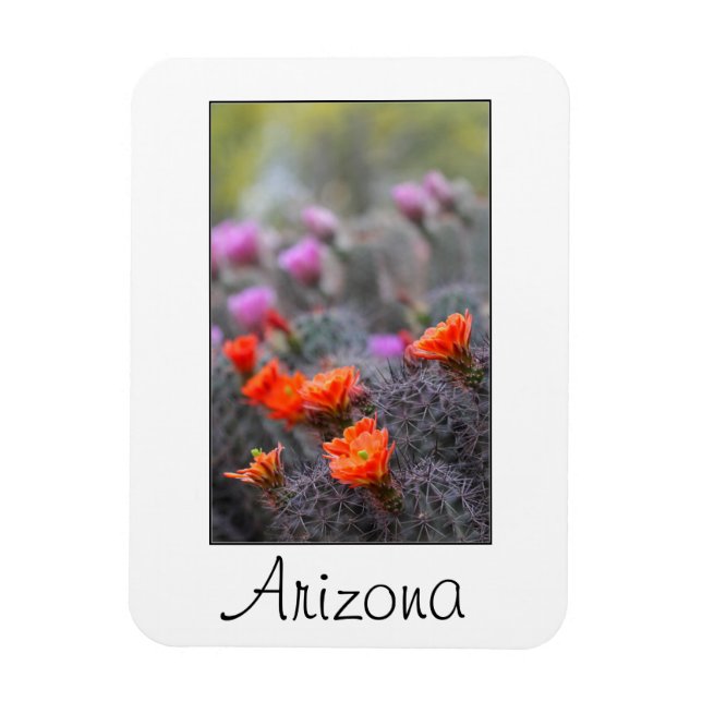 Ímã Cores da Arizona do deserto (Vertical)