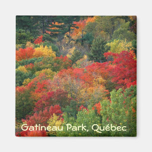 Imã Cores da queda no parque de Gatineau