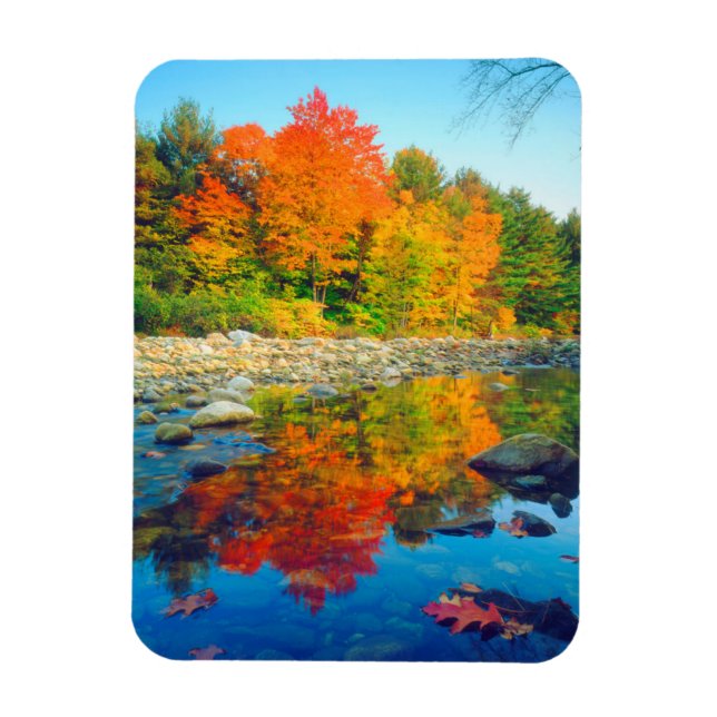 Ímã Cores de outono refletidas em um riacho em Vermont (Vertical)