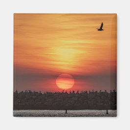Imã Cores de pôr do sol lindas - Marina Del Rey, CA