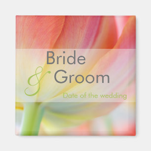 Imã Cores de Primavera