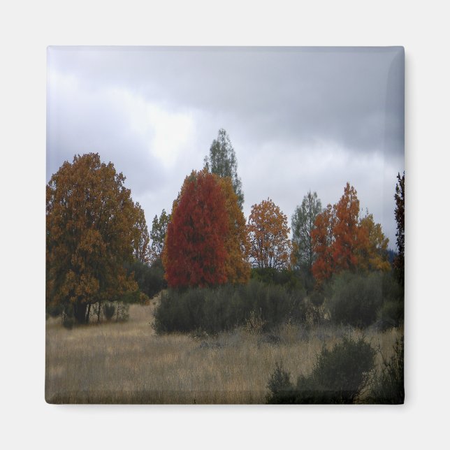 Imã Cores de queda do país...... (Frente)