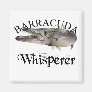 Imã Cores de Suspiro de Barracuda