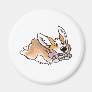 Imã Corgi