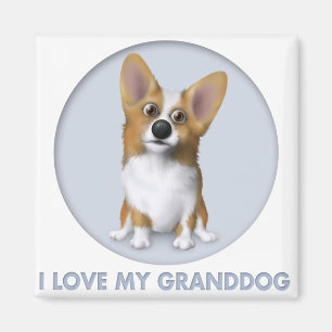 Imã Corgi 1 Granddog de Galês
