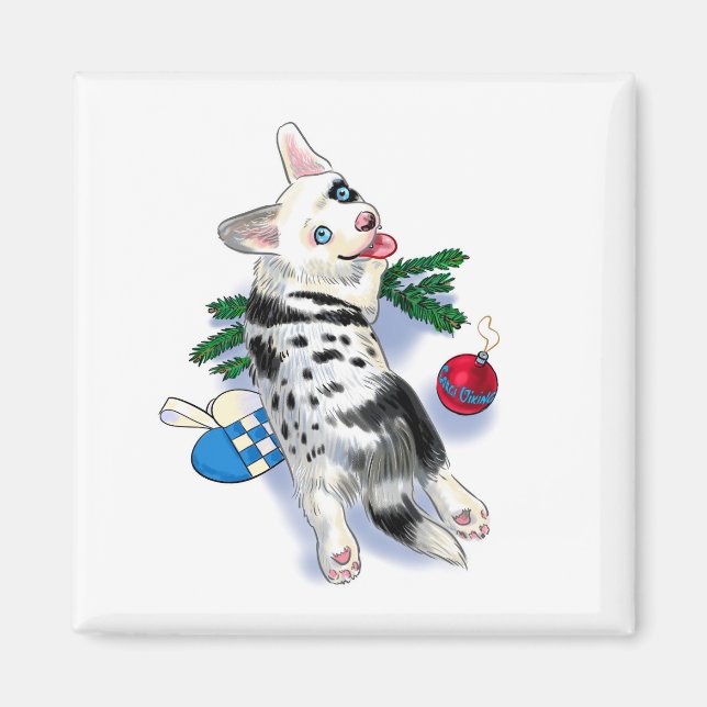 Imã Corgi azul-curva (Frente)