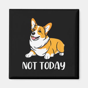 Imã Corgi Bonito Deu Um Cachorro Engraçado Não Hoje An