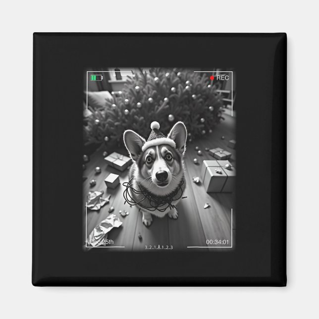 Imã Corgi de Natal Flagrado pela Câmera  (Frente)