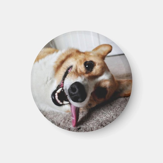 Imã Corgi Magnet (Frente)