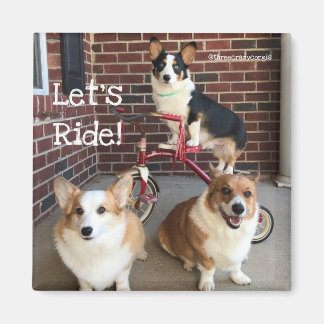 Imã Corgi Magnet