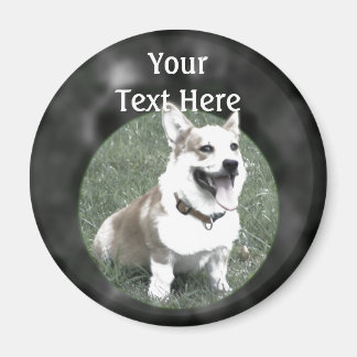 Imã Corgi Magnet
