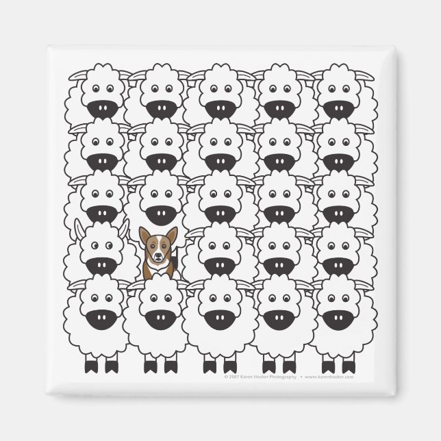 Imã Corgi na Ovelha (Frente)