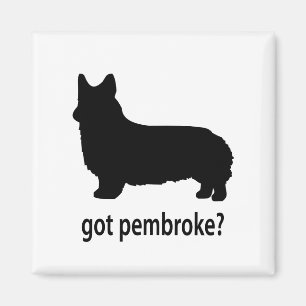 Imã Corgi obtido do Pembroke