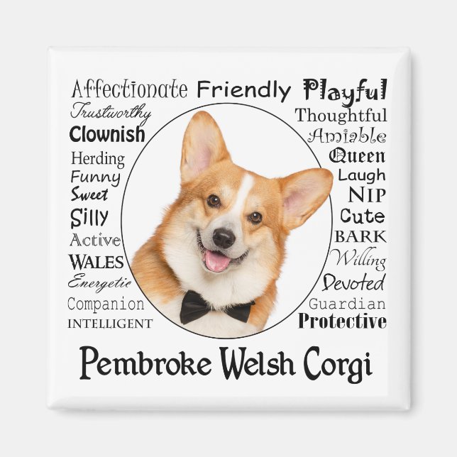 Imã Corgi Traits (Frente)