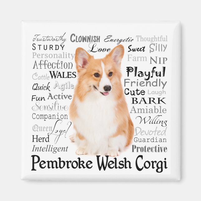 Imã Corgi Traits Magnet (Frente)