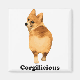 Imã Corgiliar