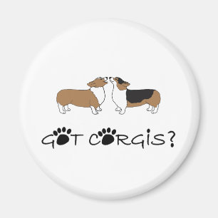 Imã Corgis obtidos?