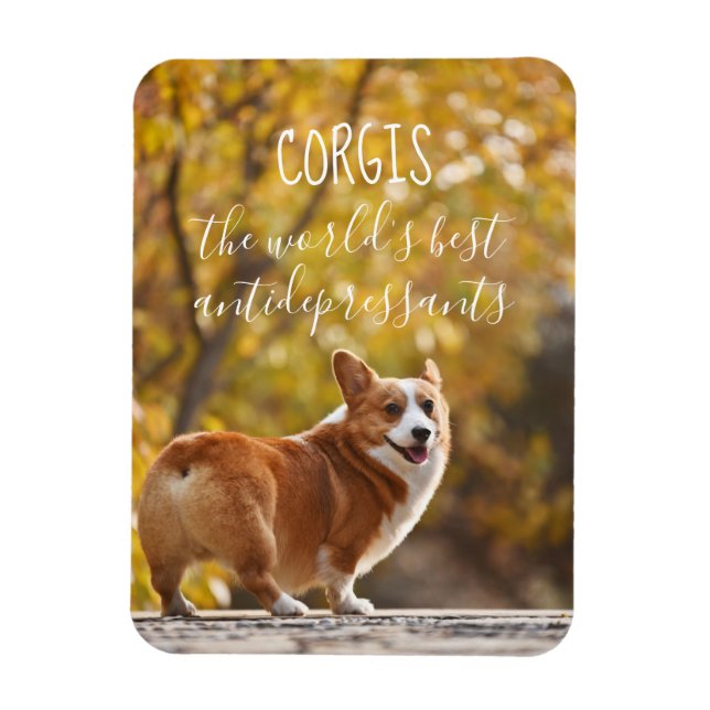 Ímã Corgis, os melhores antidepressivos do mundo (Vertical)