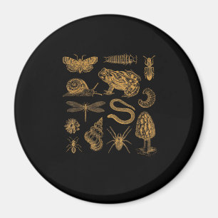 Imã Coringa de Cogumelo de Sapo Vintage Amante Goblinc
