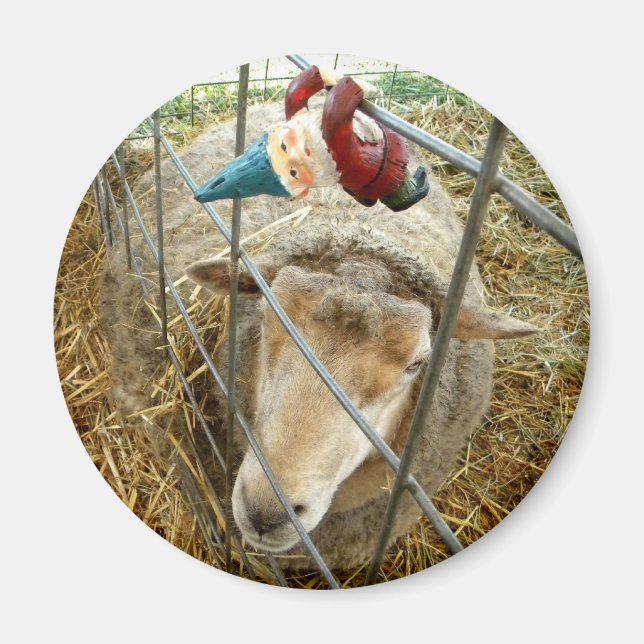 Imã Cornelius e Ovino (Frente)