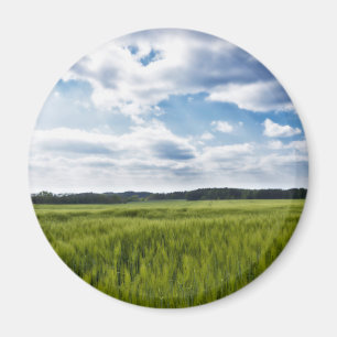 Imã Cornfields Verdes e Céu Azul
