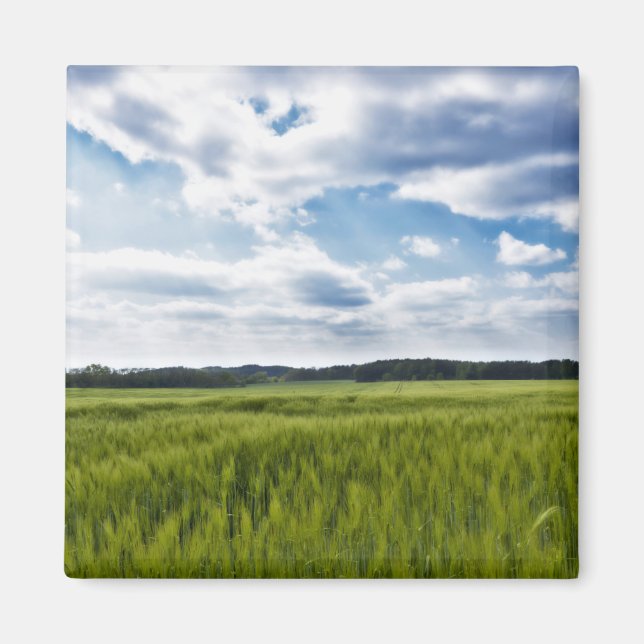Imã Cornfields Verdes e Céu Azul (Frente)
