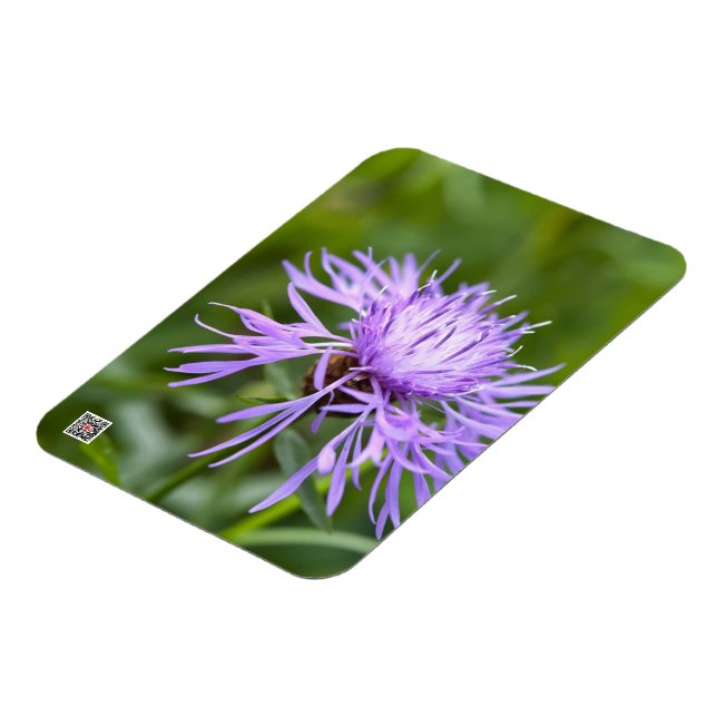 Ímã Cornflower Roxo (Left Side)