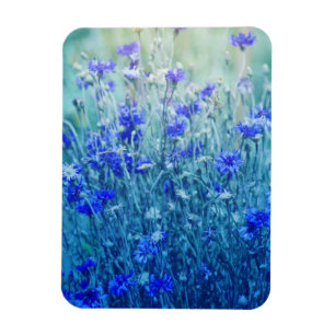 Ímã Cornflowers