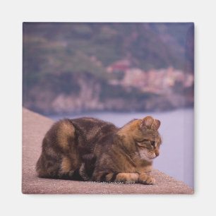 Imã Corniglia, Cinque Terre, Italia