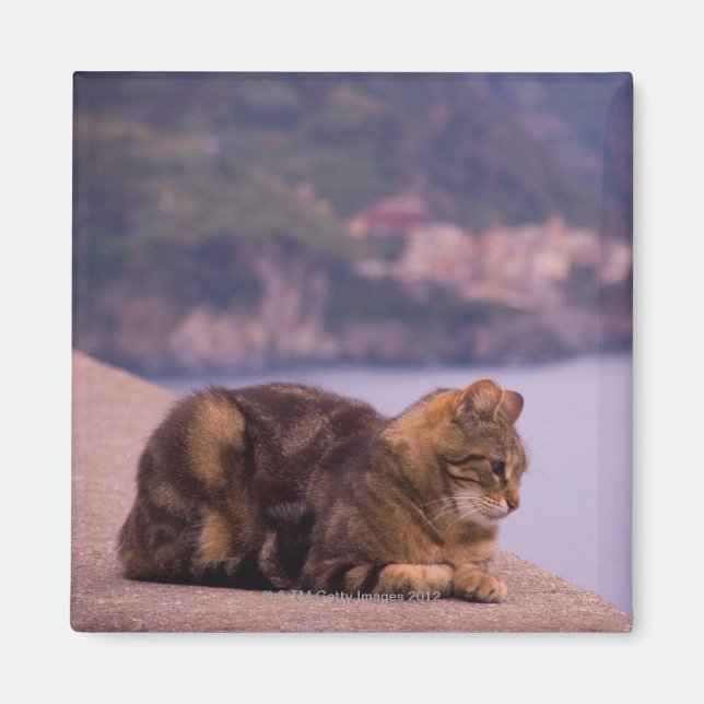 Imã Corniglia, Cinque Terre, Itália (Frente)