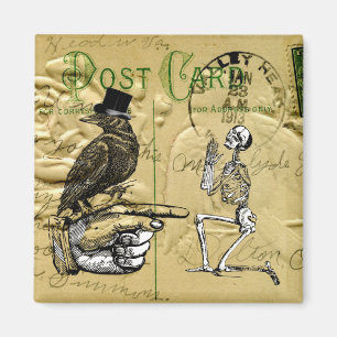 Imã Coroa e esqueleto