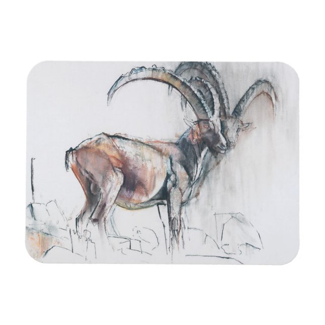 Ímã Coronel di Vermianaz (Horizontal)