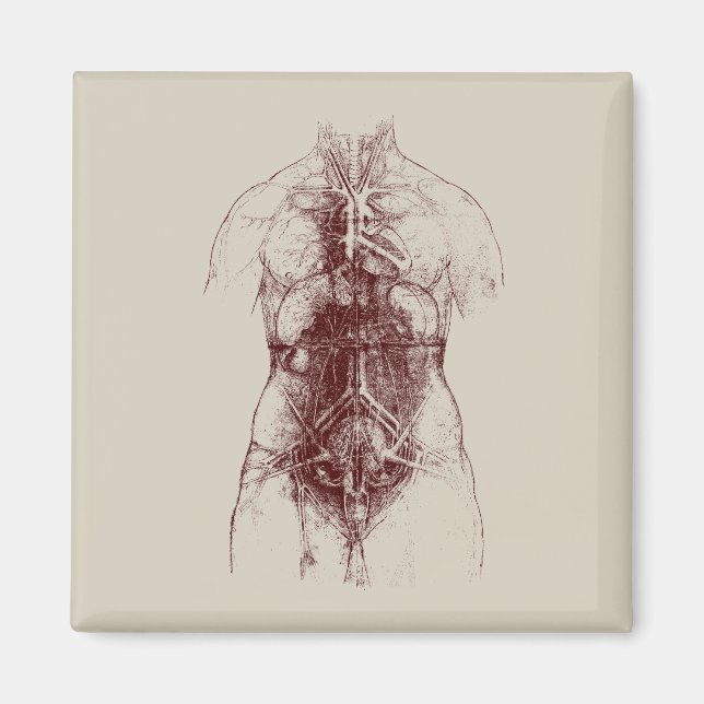 Imã corpo interno (Frente)