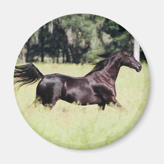 Imã corra como o vento